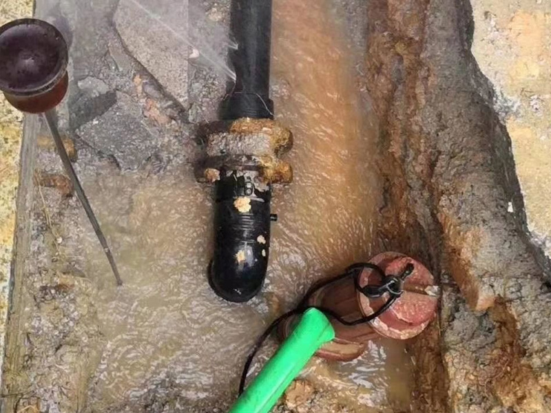 成功案例6